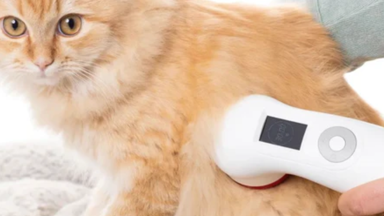 Which Factors Affect The Working Of Laser Therapy Devices?